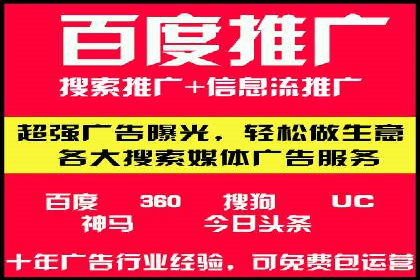 行业案例研究：SEM竞价托管的策略与挑战